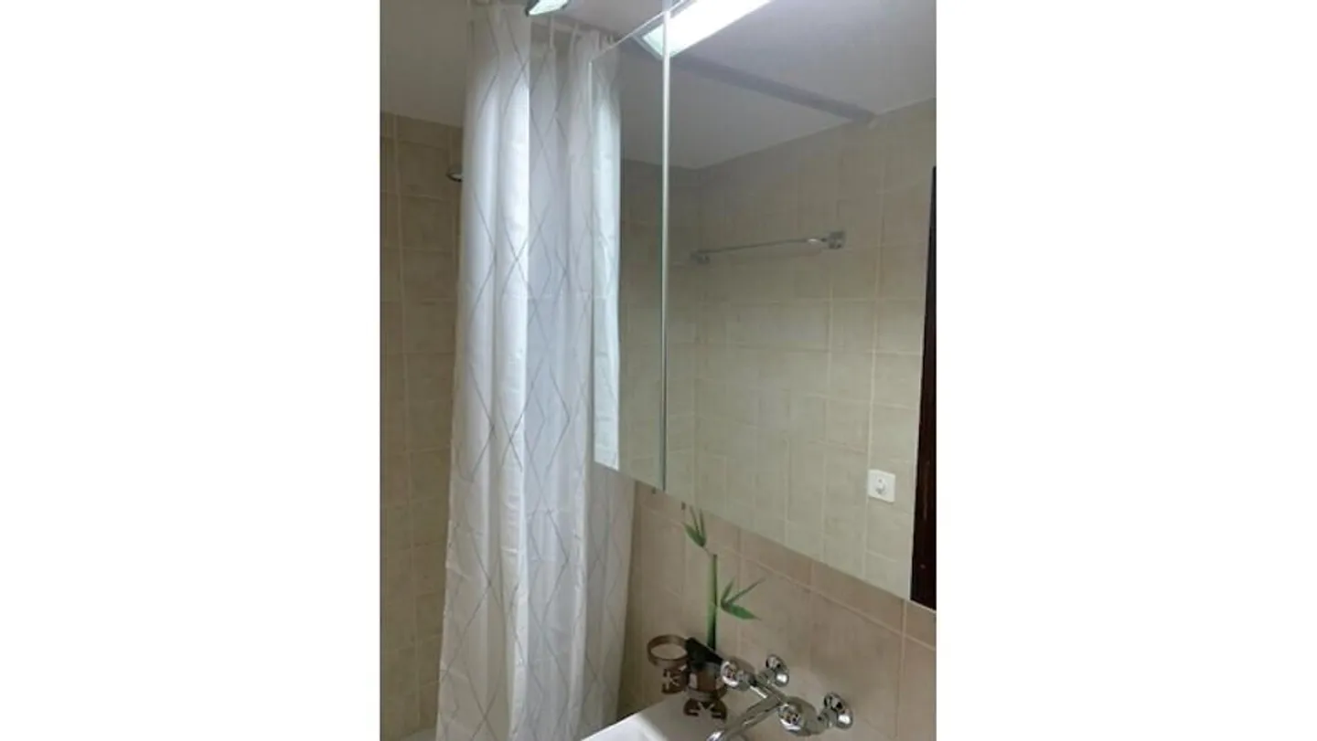 2½ ROOM APARTMENT IN GWATT (THUN), FURNISHED, TEMPORARY - Photo 11 of 14