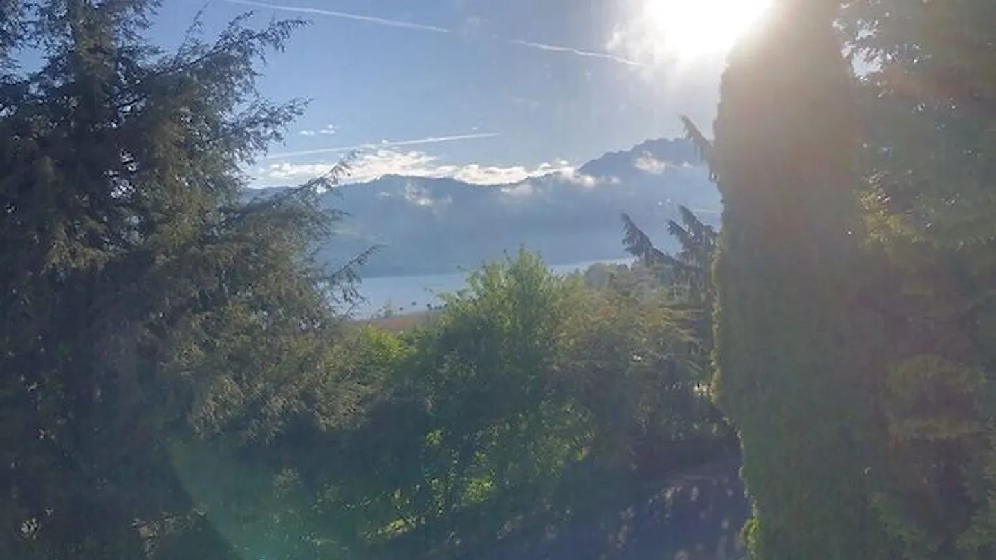 2½ ROOM APARTMENT IN GWATT (THUN), FURNISHED, TEMPORARY - Photo 13 of 14