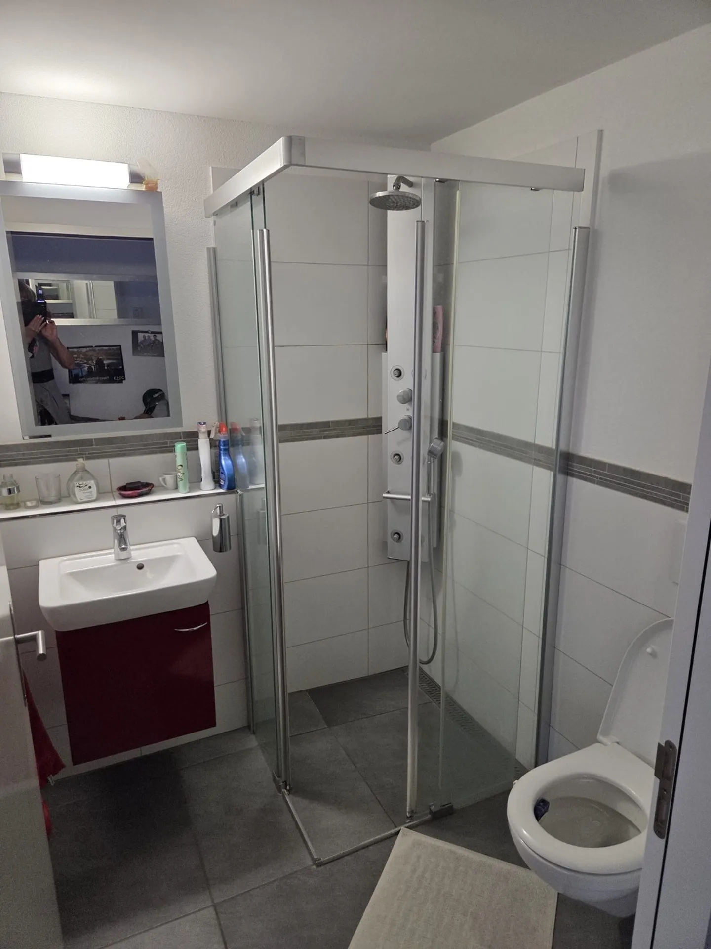 3½ ROOM APARTMENT IN GOSSAU (ZH), FURNISHED, TEMPORARY - Photo 6 of 9