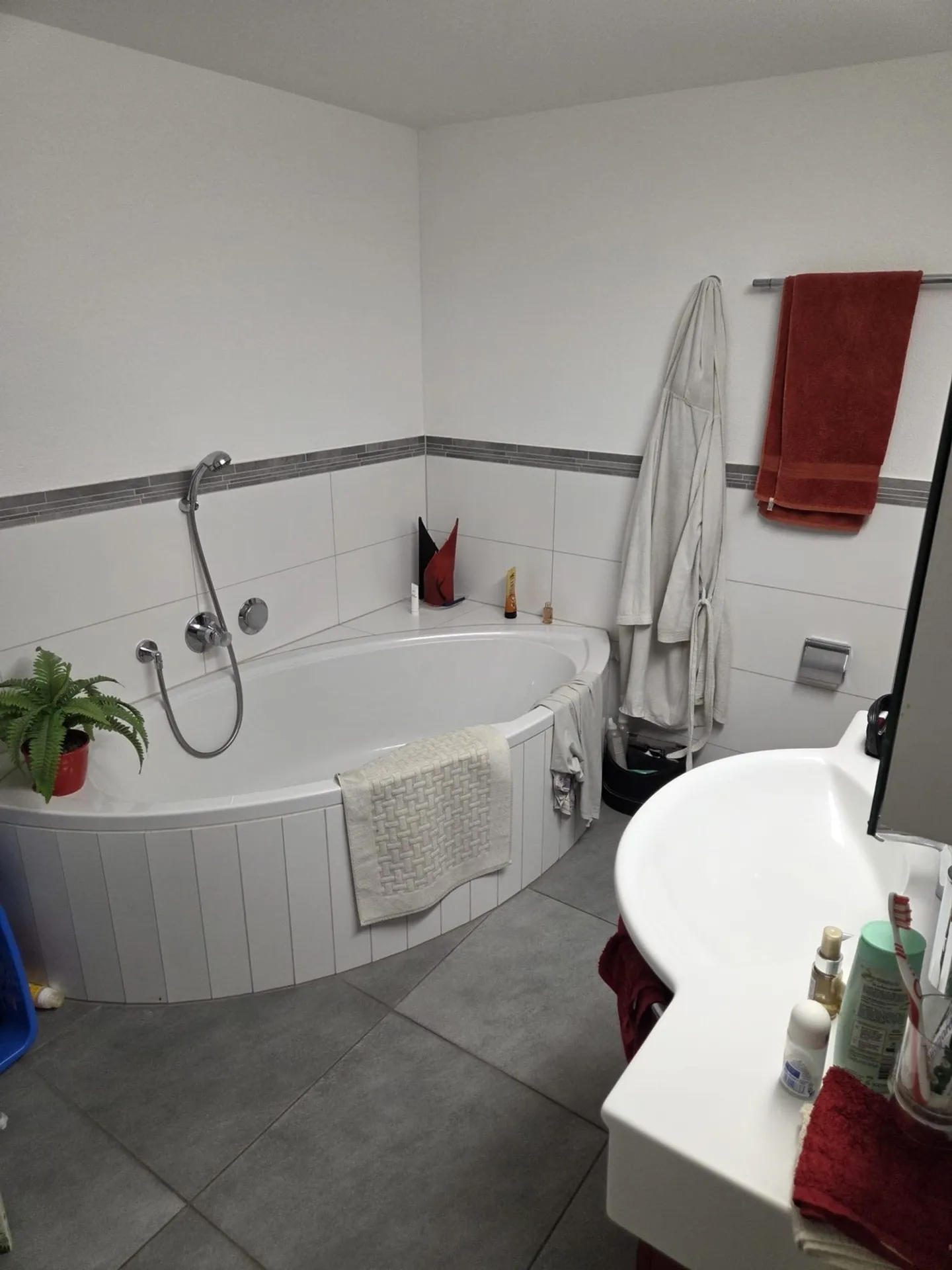 3½ ROOM APARTMENT IN GOSSAU (ZH), FURNISHED, TEMPORARY - Photo 7 of 9