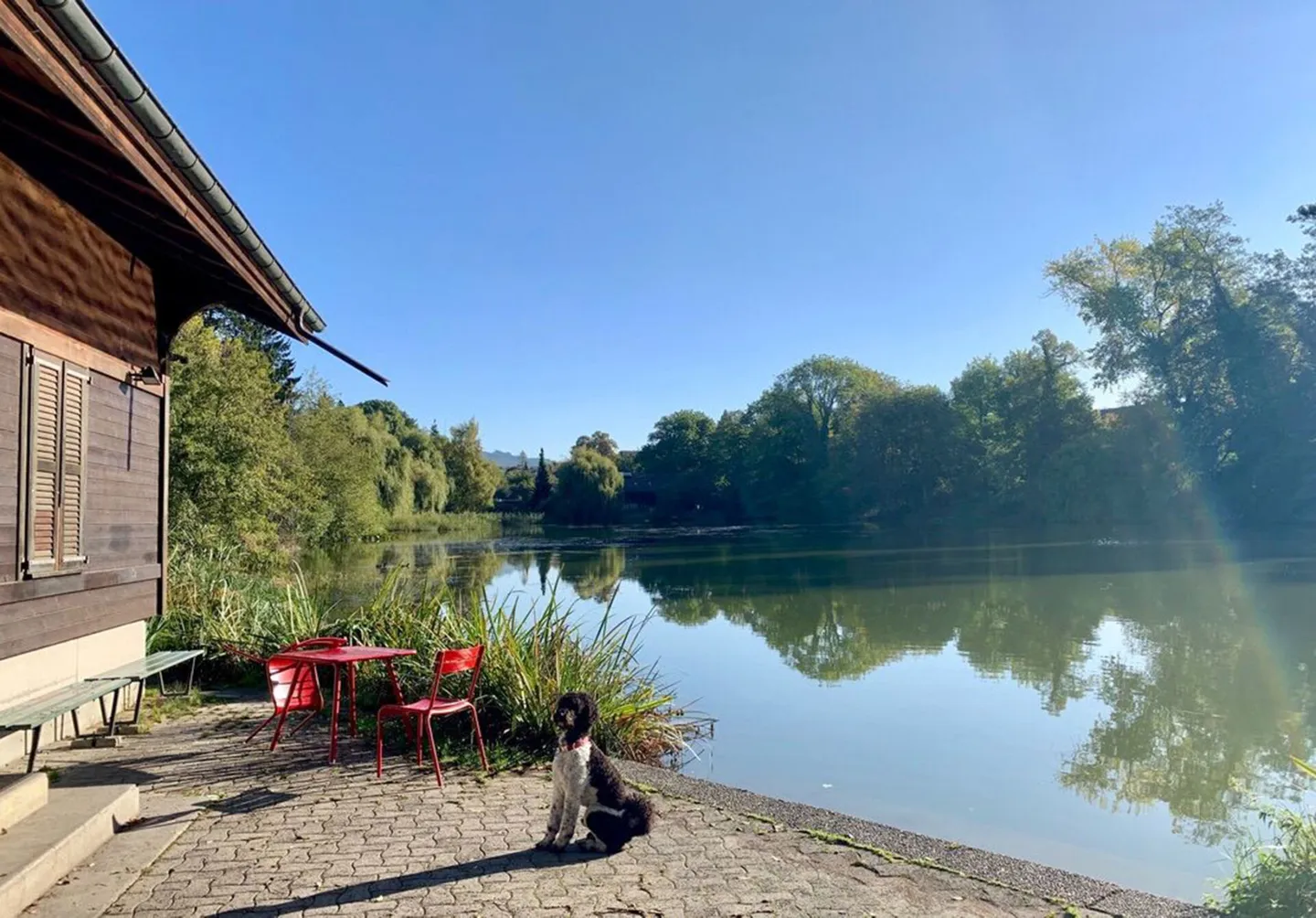 Grandiose 7.5-Zimmer-Altbauwohnung mit fürstlichen 209 m² Wohnfläche an perfekter Wohnlage - Foto 20 von 23