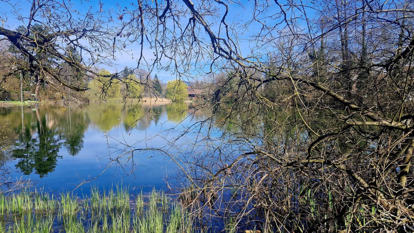 Grandiose 7.5-Zimmer-Altbauwohnung mit fürstlichen 209 m² Wohnfläche an perfekter Wohnlage - Foto 22 von 23