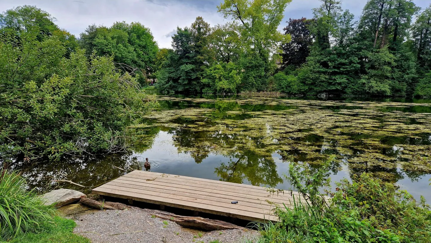 Grandiose 7.5-Zimmer-Altbauwohnung mit fürstlichen 209 m² Wohnfläche an perfekter Wohnlage - Foto 21 von 23