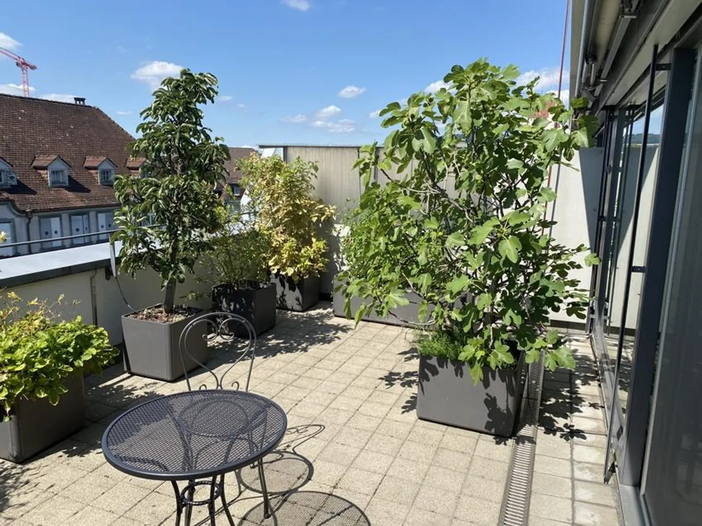 Exclusive Living in the Center of Thun - Photo 6 of 16