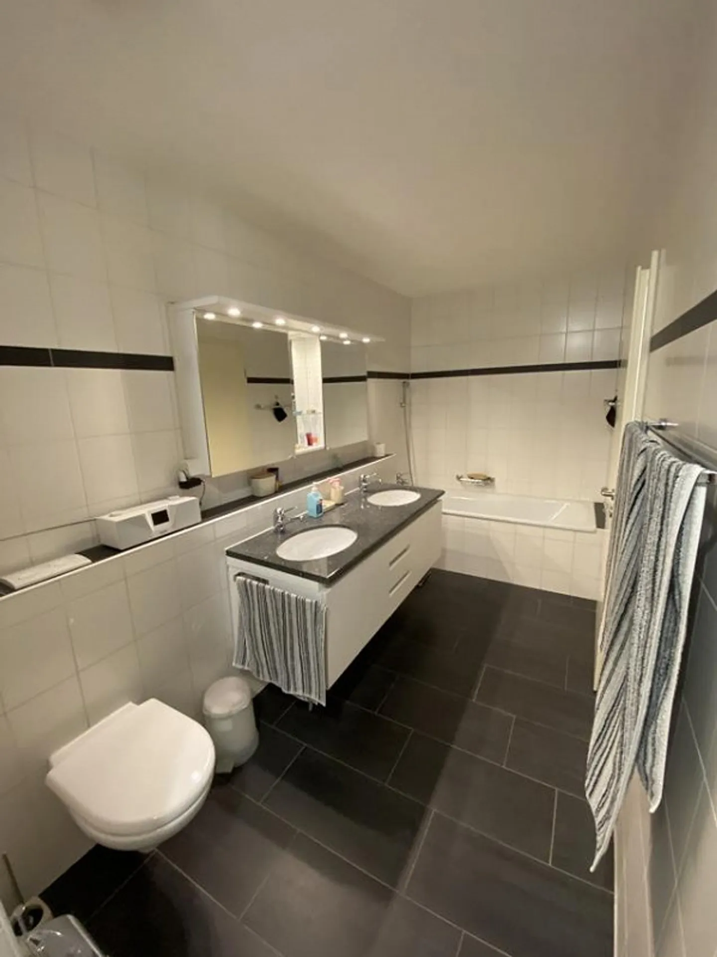 Exclusive Living in the Center of Thun - Photo 10 of 16