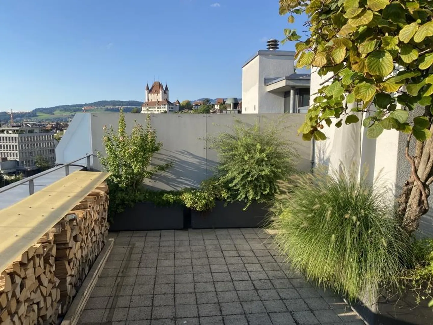 Exclusive Living in the Center of Thun - Photo 14 of 16