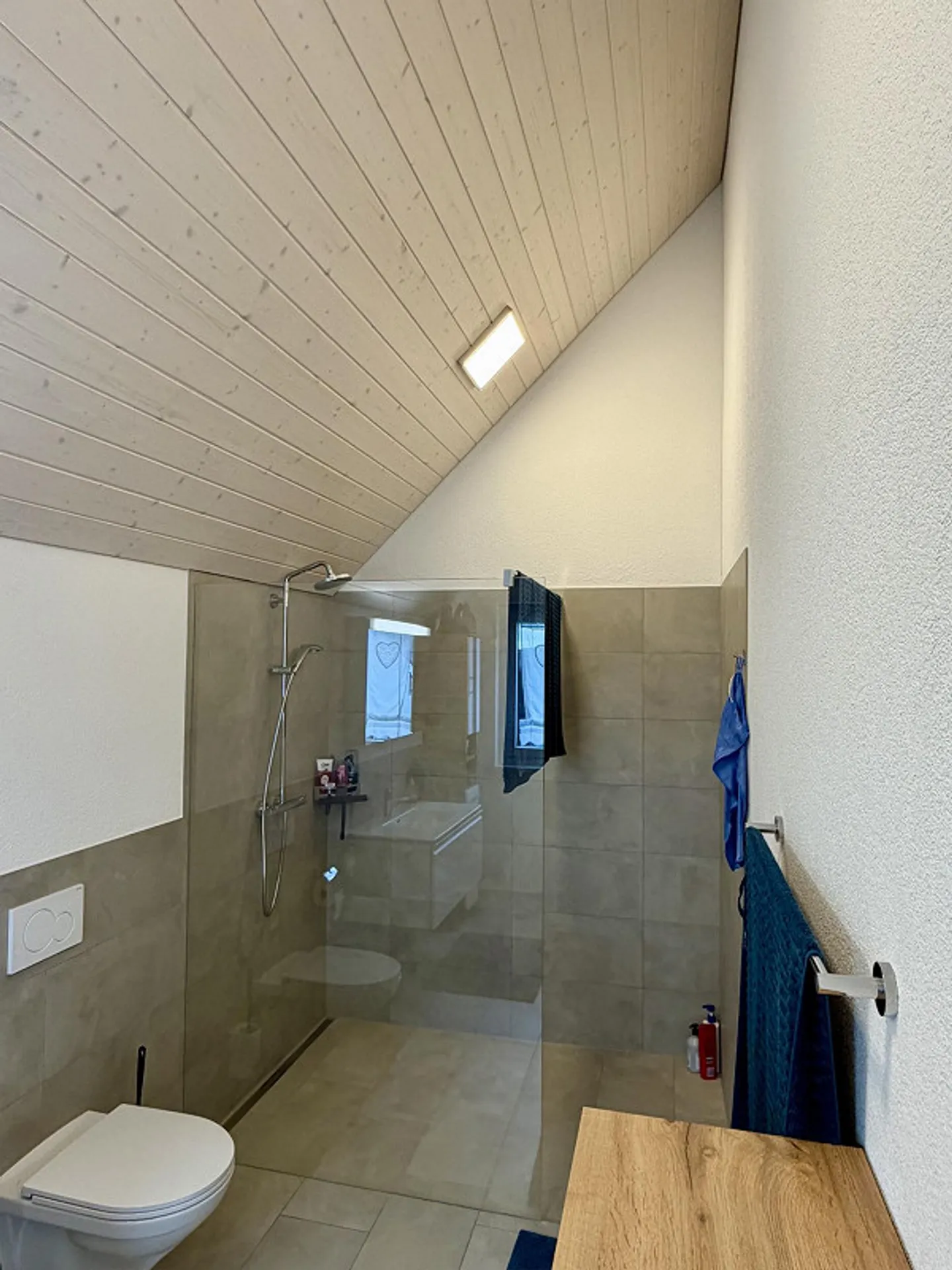 5.5 Zi-EFH - freistehend - Hier möchte ich wohnen! - Photo 27 of 29