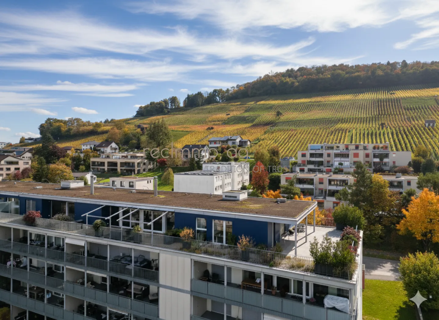 Exclusive 5.5-room apartment with 300 m² terrace in Döttingen - Space, comfort, and style at the highest level - Photo 1 of 11