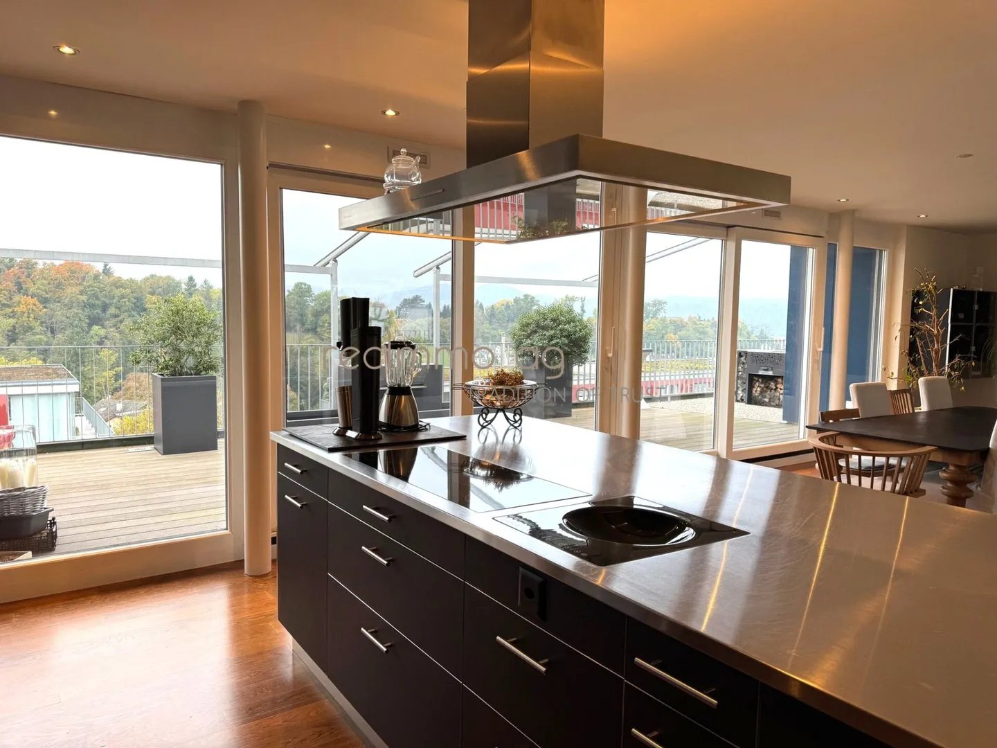 Exclusive 5.5-room apartment with 300 m² terrace in Döttingen - Space, comfort, and style at the highest level - Photo 5 of 11