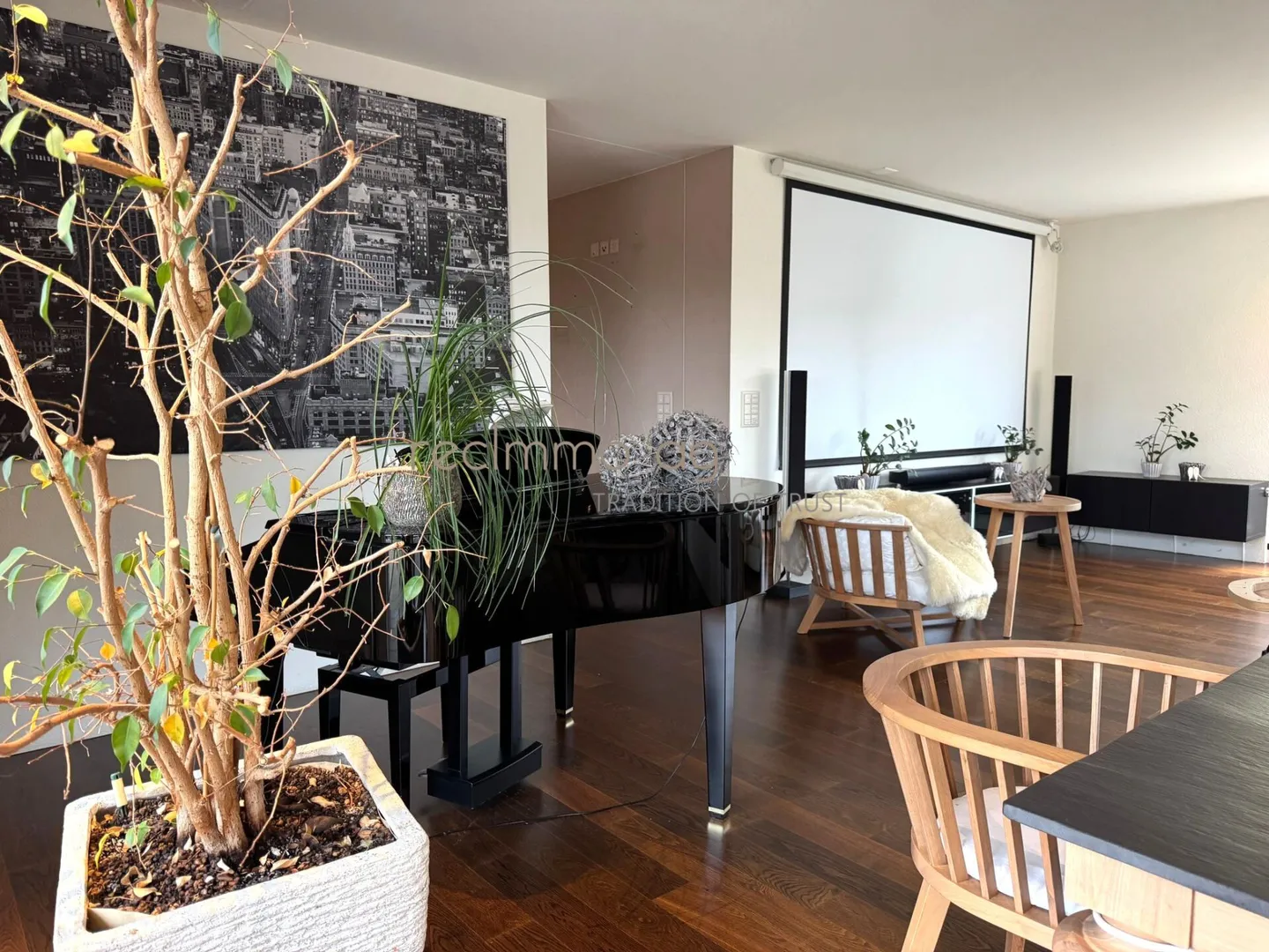 Exclusive 5.5-room apartment with 300 m² terrace in Döttingen - Space, comfort, and style at the highest level - Photo 2 of 11