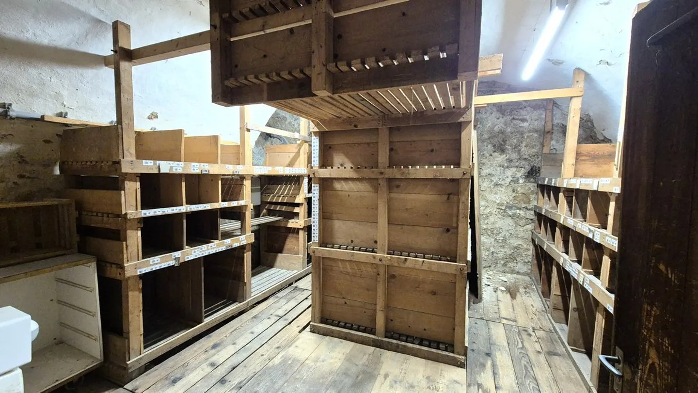 Proprietà gastronomica rappresentativa con sala eventi e terrazza in posizione sul Reno - Foto 11 di 13