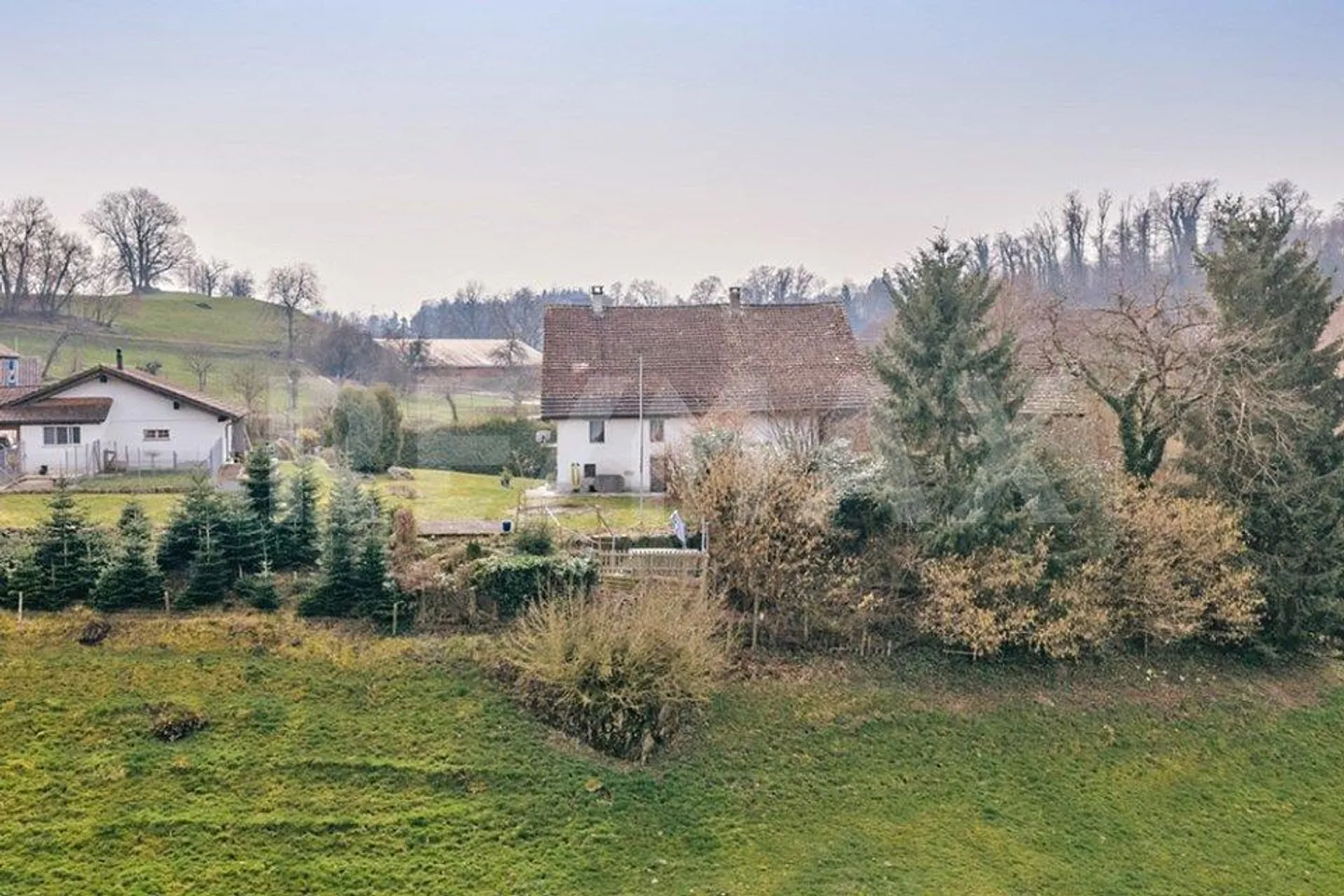 Neither Fish nor Fowl - a special property - Photo 4 of 11