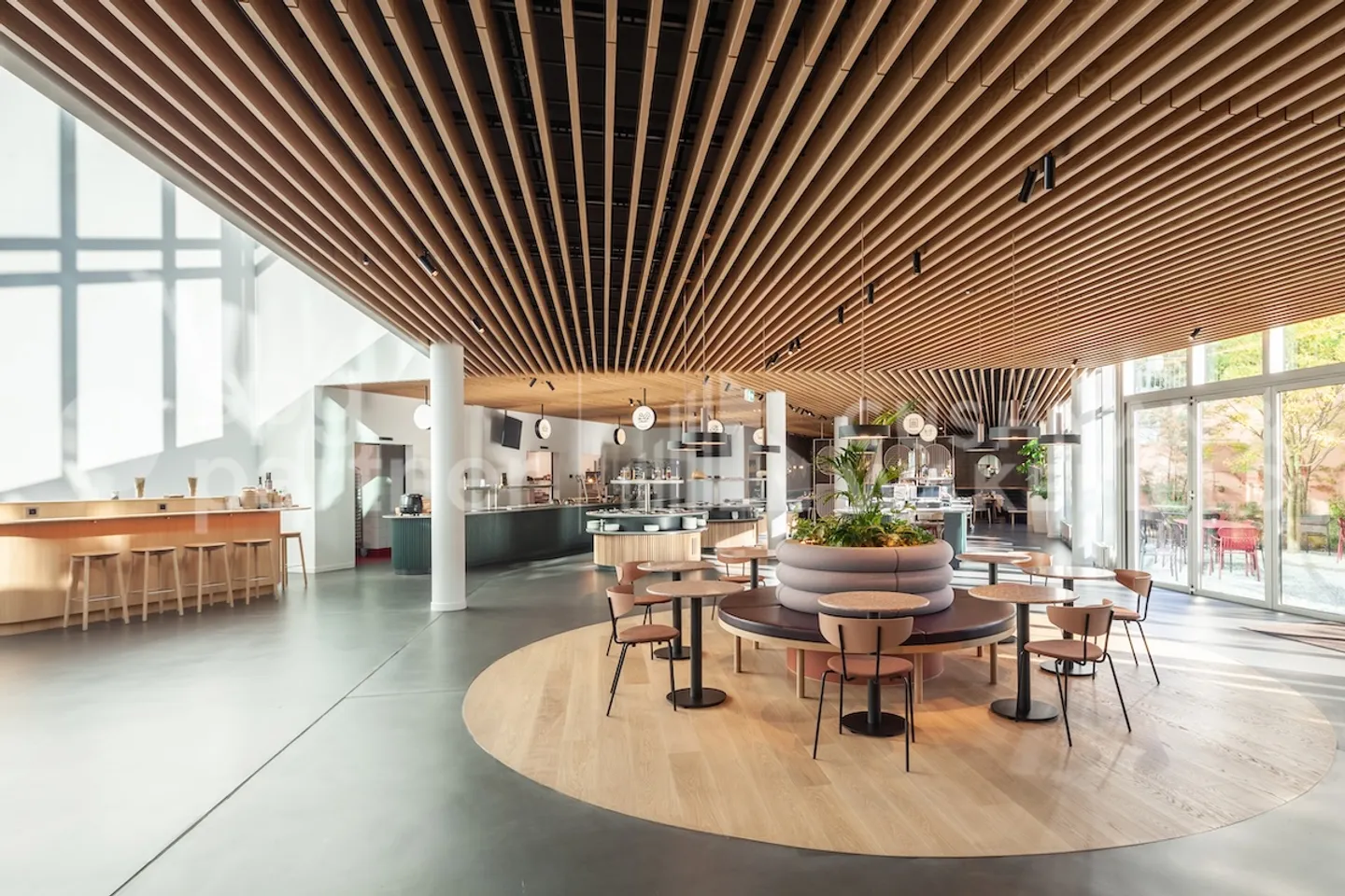 Vogel - Foto 2 von 9