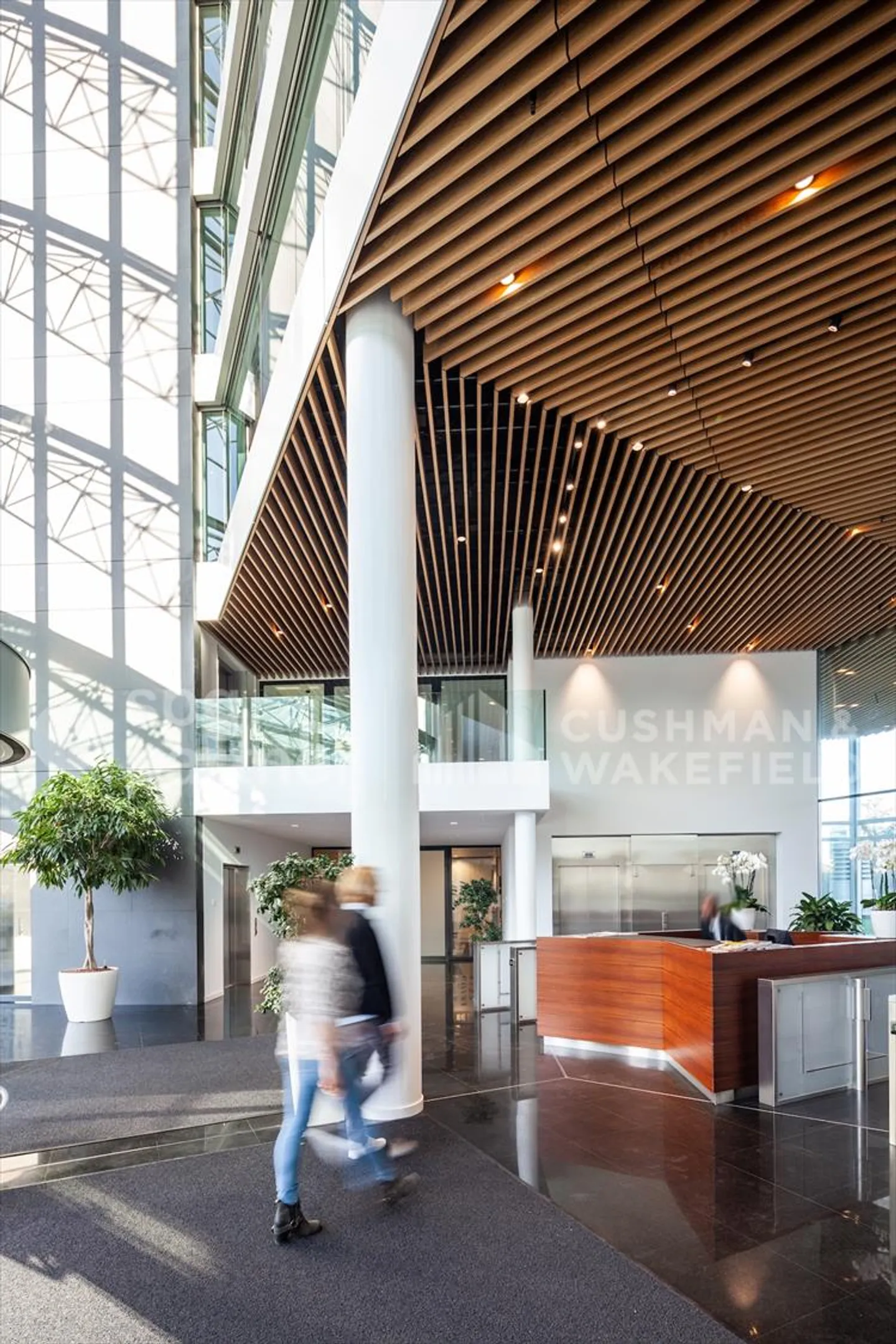 Vogel - Foto 5 von 9