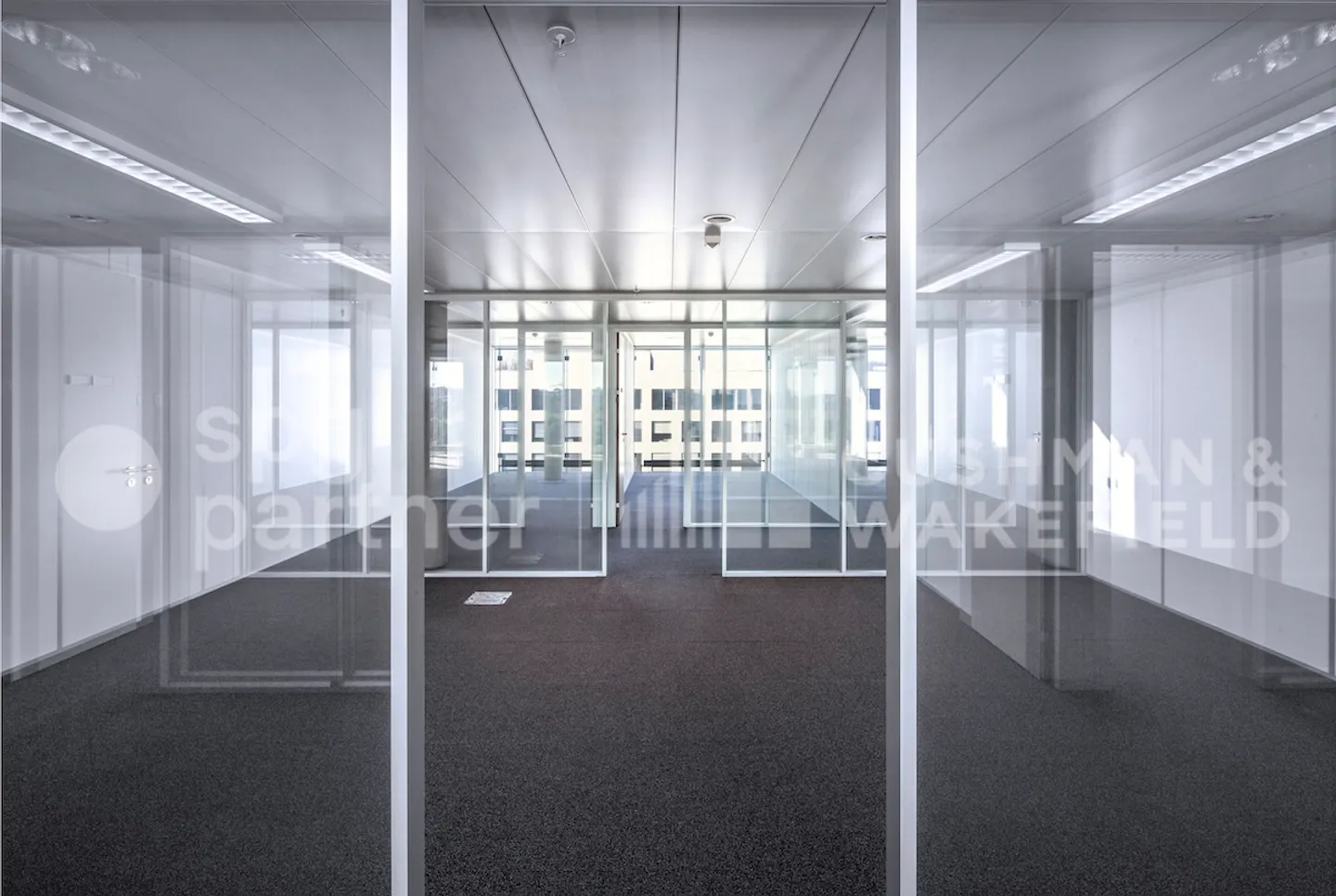 Vogel - Foto 7 von 9