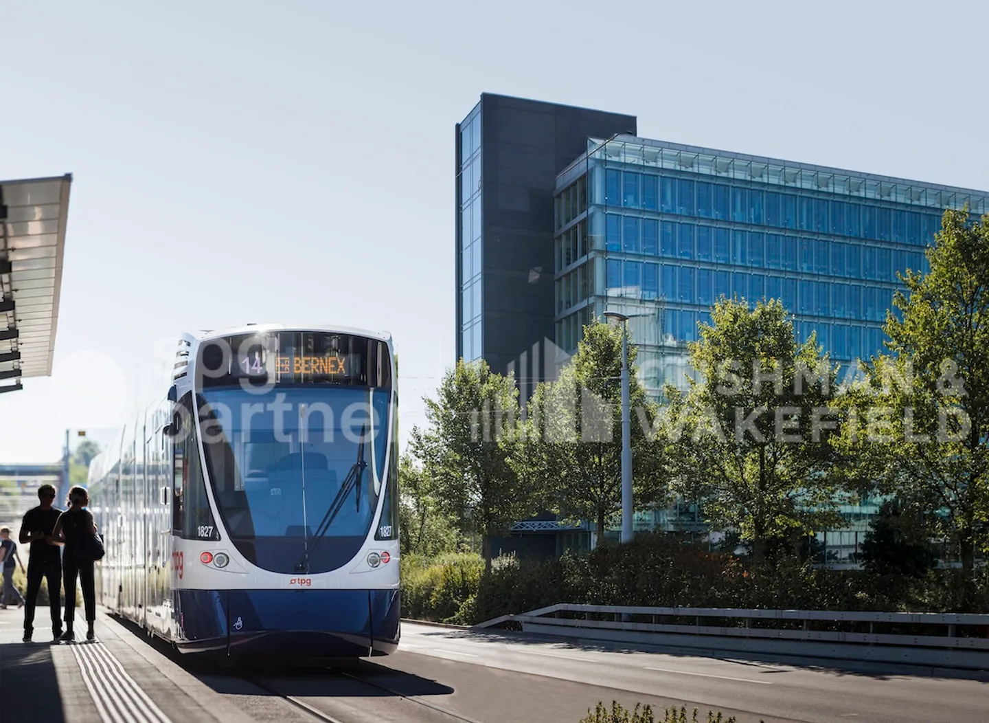 Vogel - Foto 9 von 9