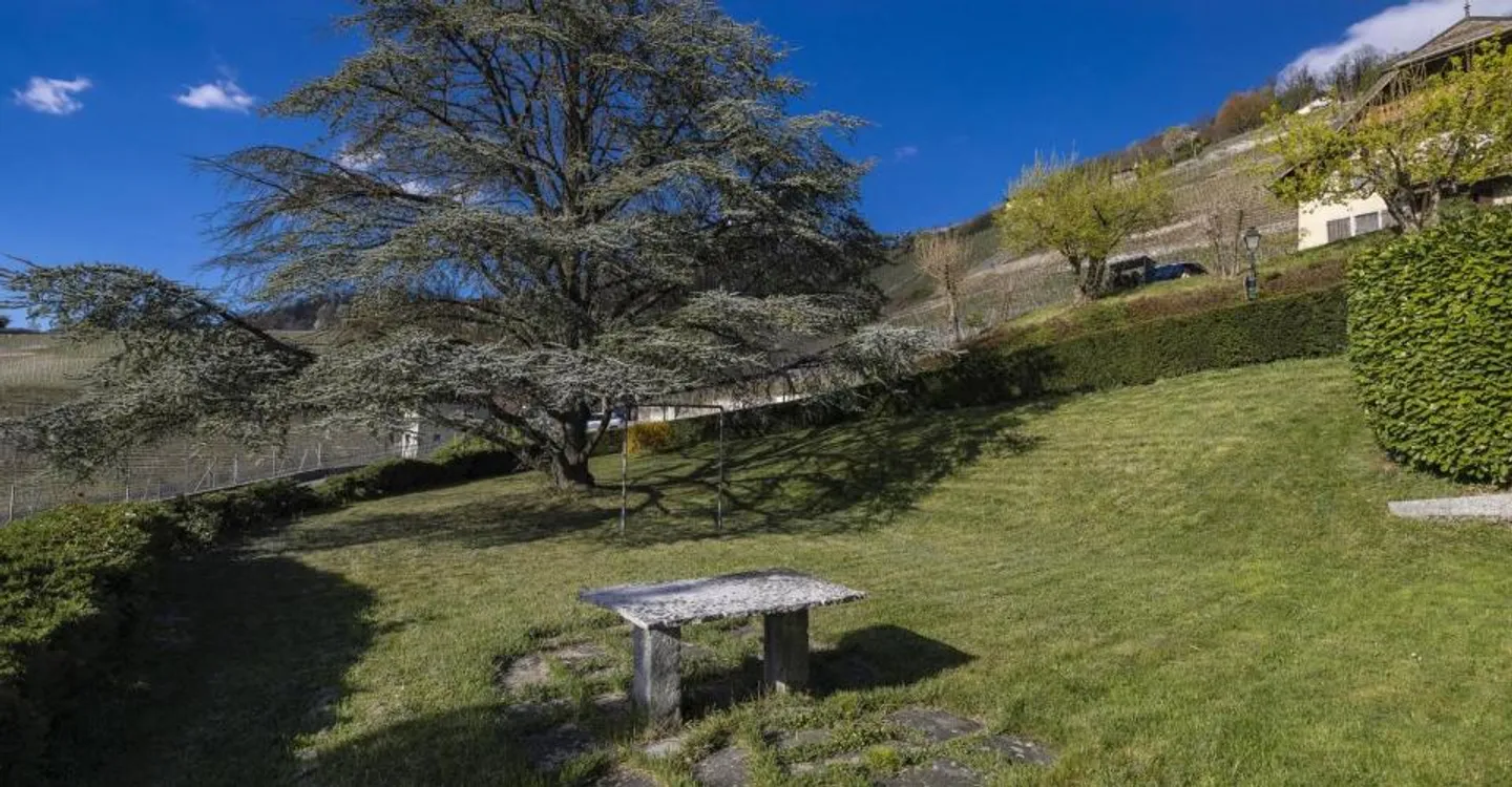 Casa vinicola con annesso indipendente - Foto 11 di 13