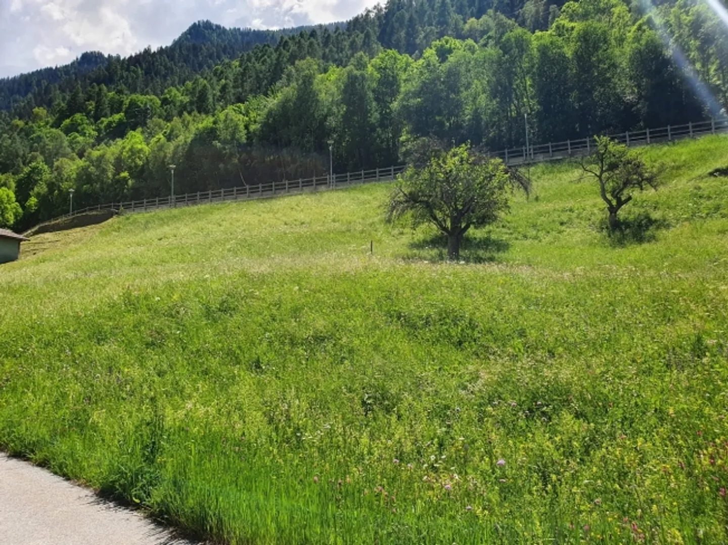 THE LUETTE - SAINT MARTIN LAND FOR CONSTRUCTION - Photo 3 of 3