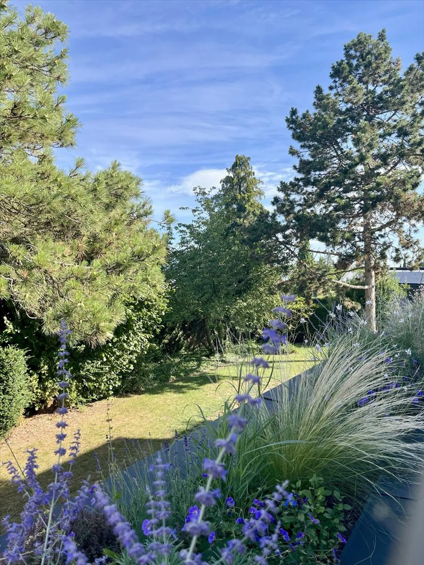 Anières – Nuovo Duplex Architettonico nel Cuore dei Vigneti con Giardino & Super Terrazze - Foto 22 di 30