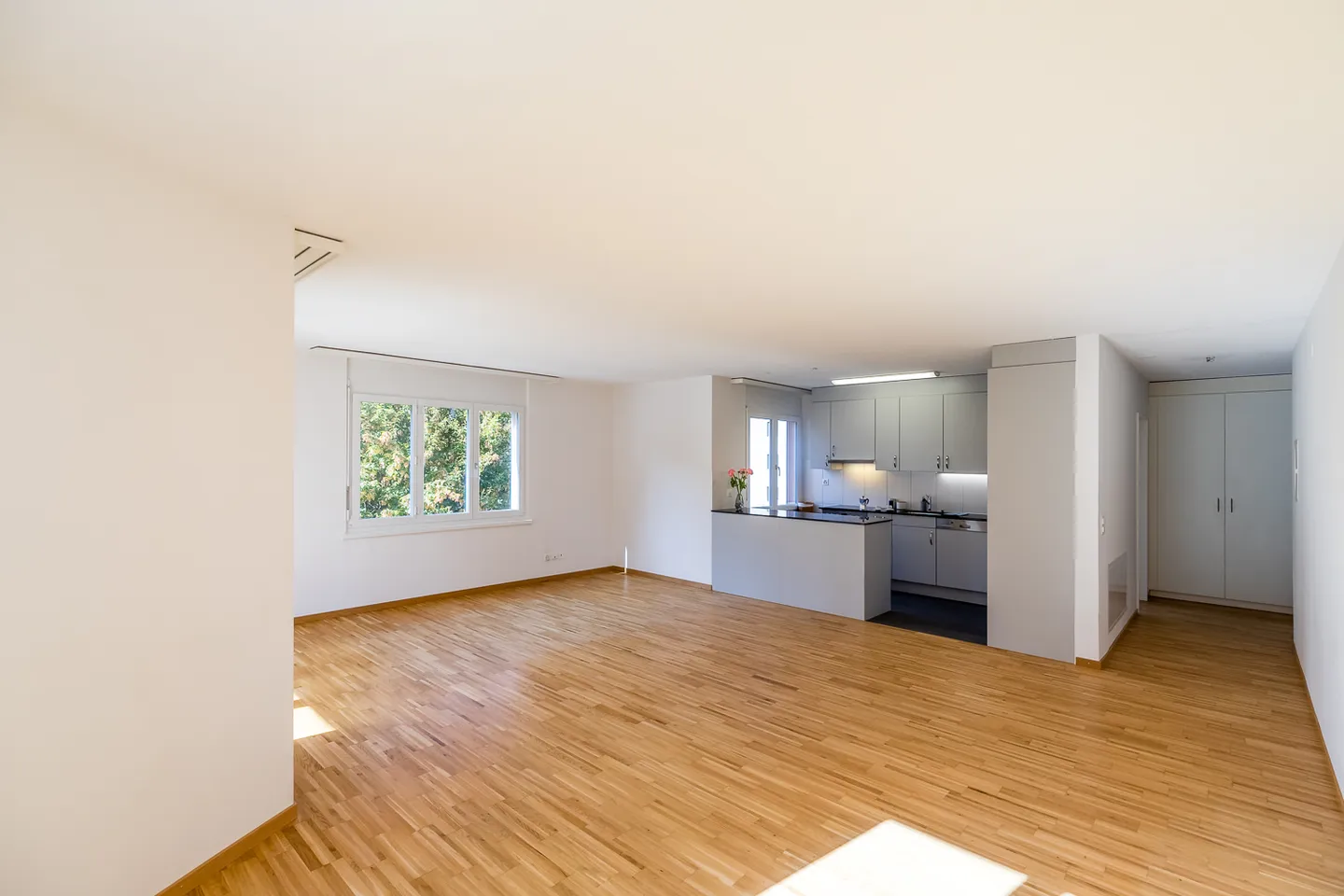 Appartement 5.5 pièces - Photo 3 sur 9