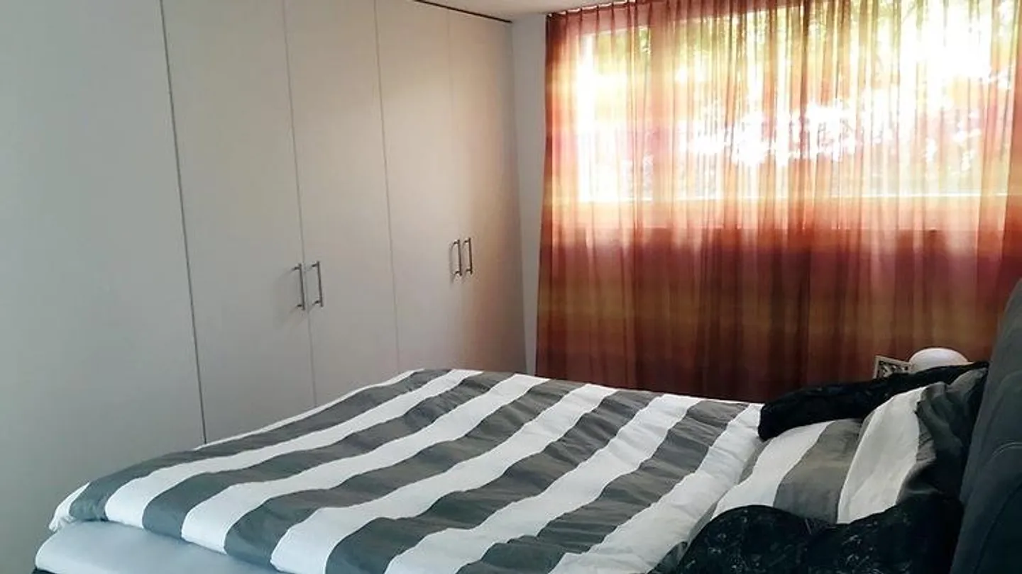 2½ ROOM APARTMENT IN BASEL - BINNINGEN, FURNISHED - Photo 4 of 6