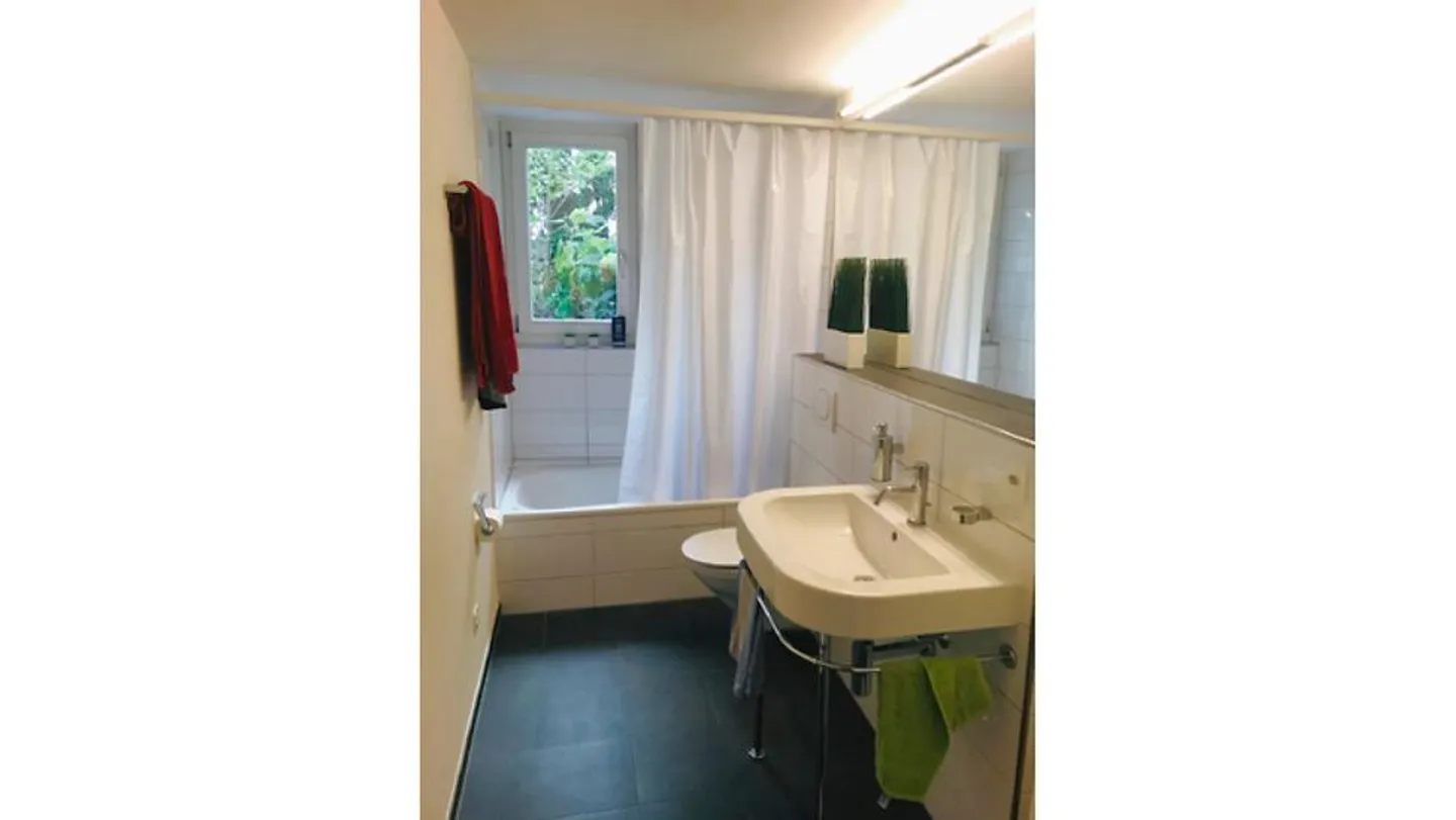 2½ ROOM APARTMENT IN BASEL - BINNINGEN, FURNISHED - Photo 6 of 6