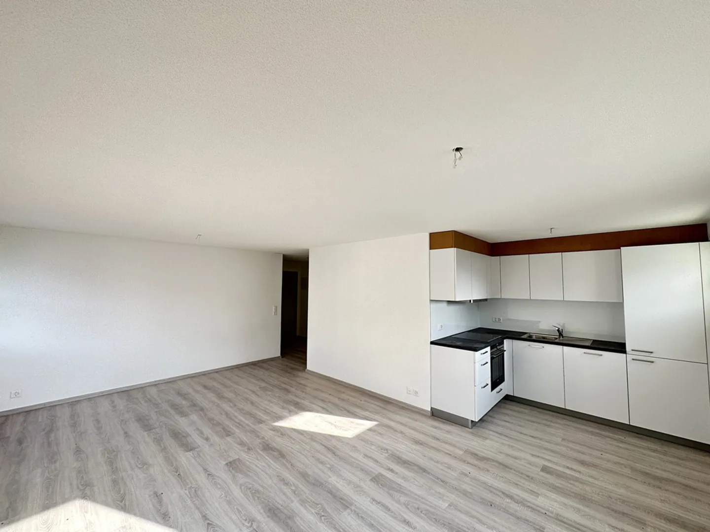 Bright with a large living room - Photo 3 of 8