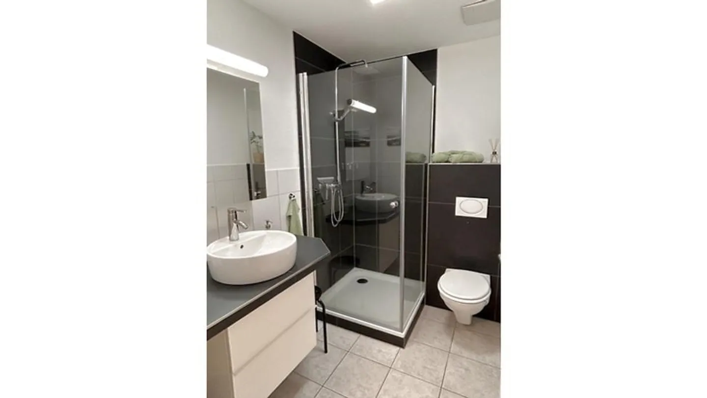 STUDIO IN REMETSCHWIL (AG), FURNISHED, TEMPORARY - Photo 7 of 10