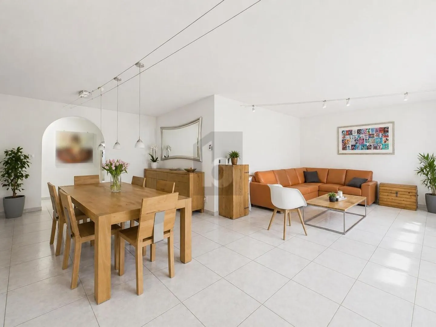 Appartamento al Piano Terra Incantevole - Foto 4 di 6