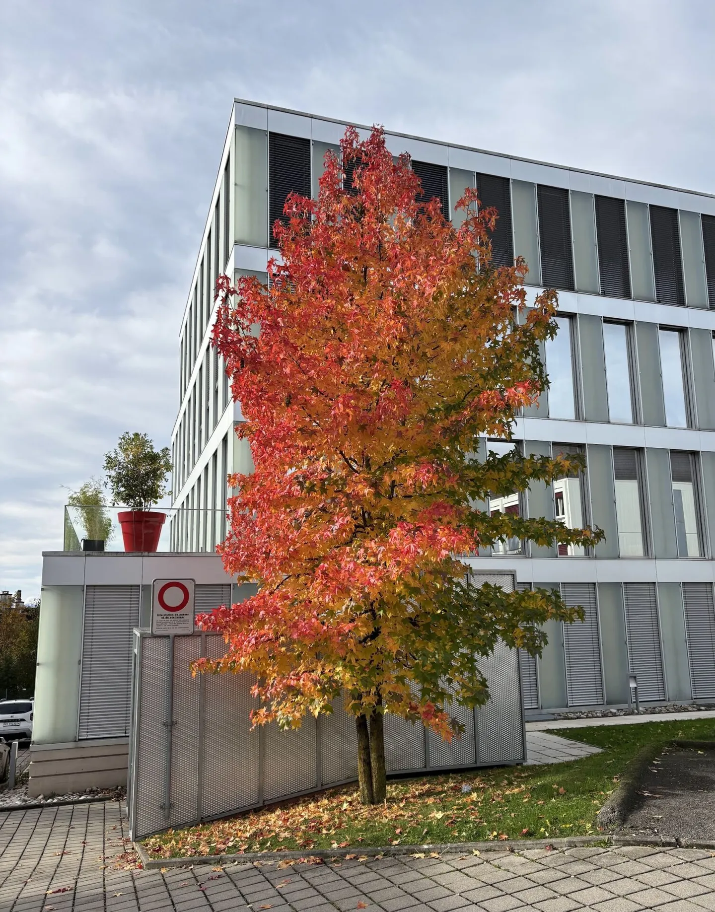 Modernes Büro in Lausanne - Foto 9 von 10