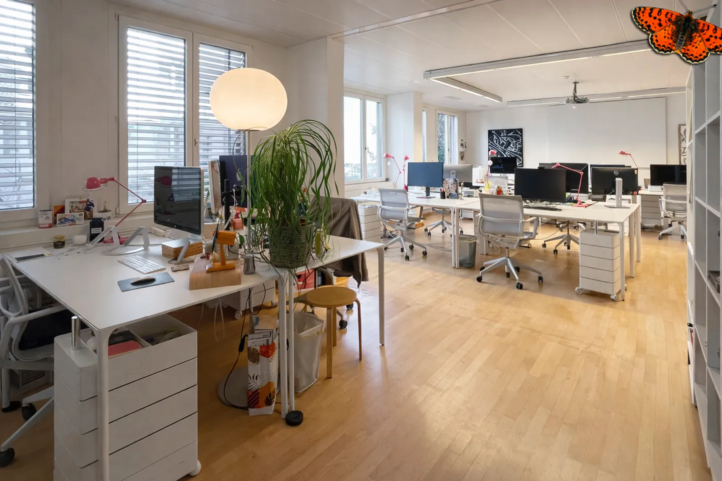 Spazio Ufficio Luminoso a Friburgo - Foto 6 di 8