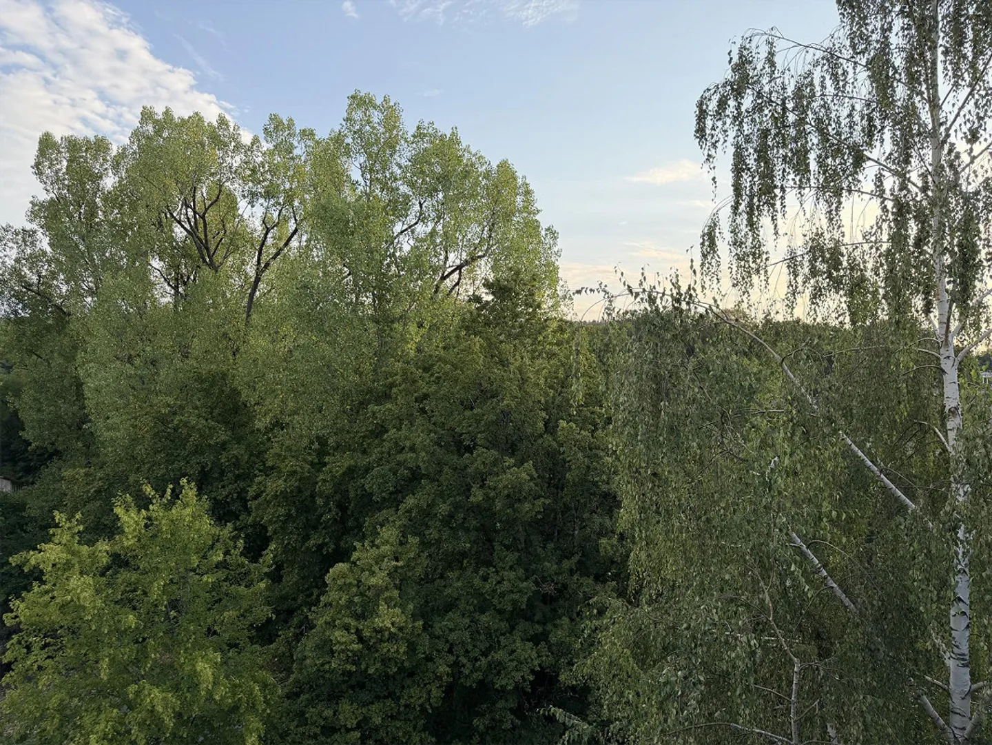 Helle 3½-Zimmer-Attikawohnung mit drei Balkonen und Weitsicht - Photo 9 sur 12