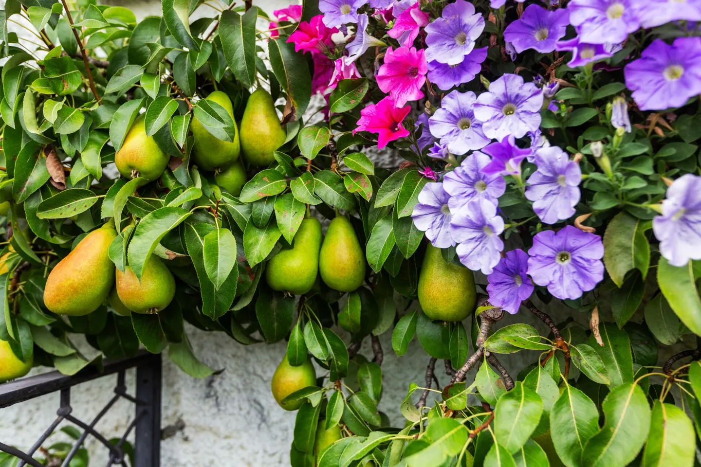 Natura pura e privacy! - Foto 17 di 17