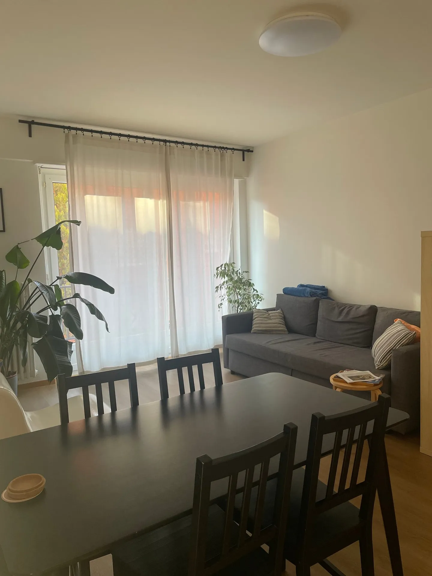 MENDRISIO - APPARTAMENTO DI 2,5 STANZE IN AFFITTO - Foto 1 di 6