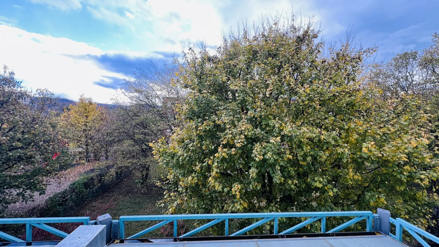 Attraktive 2-Zimmerwohnung mit Lift n Aesch - Ideal für Singles - Foto 9 von 15