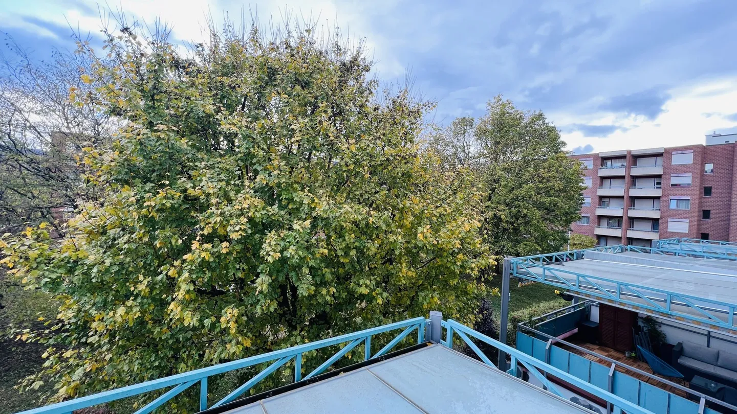 Attraktive 2-Zimmerwohnung mit Lift n Aesch - Ideal für Singles - Foto 11 von 15