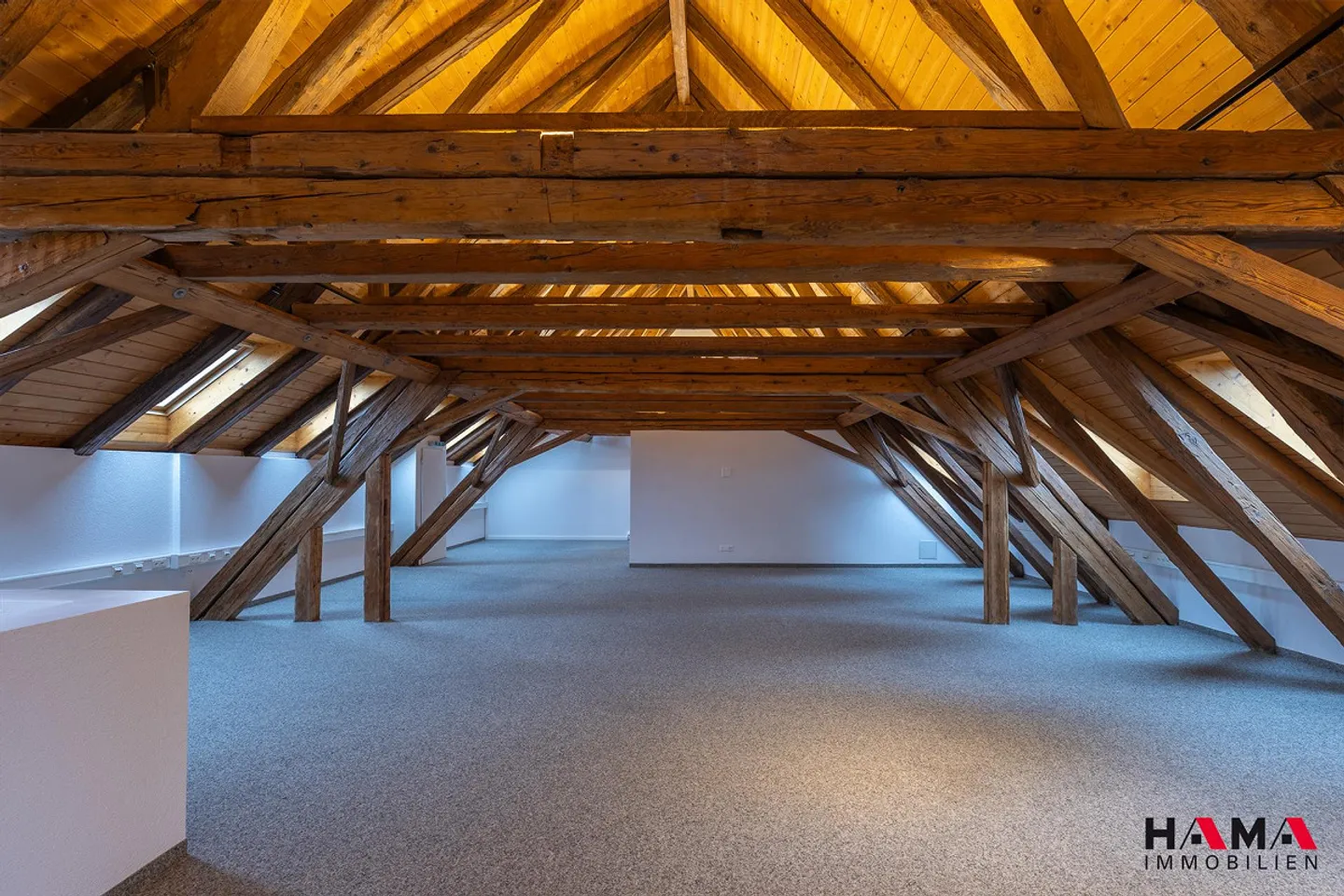 PRIMA LOCAZIONE Appartamento loft 5.5 stanze a Oftringen - Foto 2 di 15