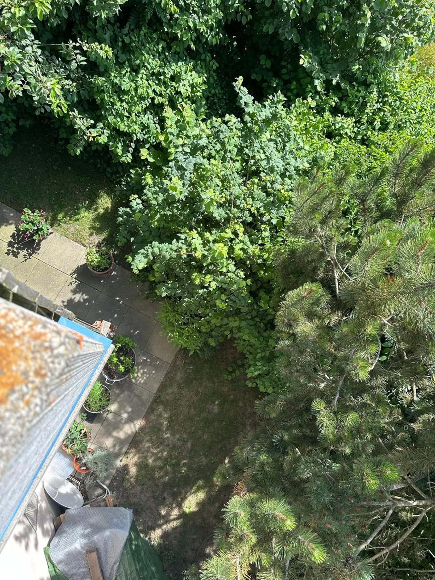 Appartements spacieux avec jardins - Photo 11 sur 12