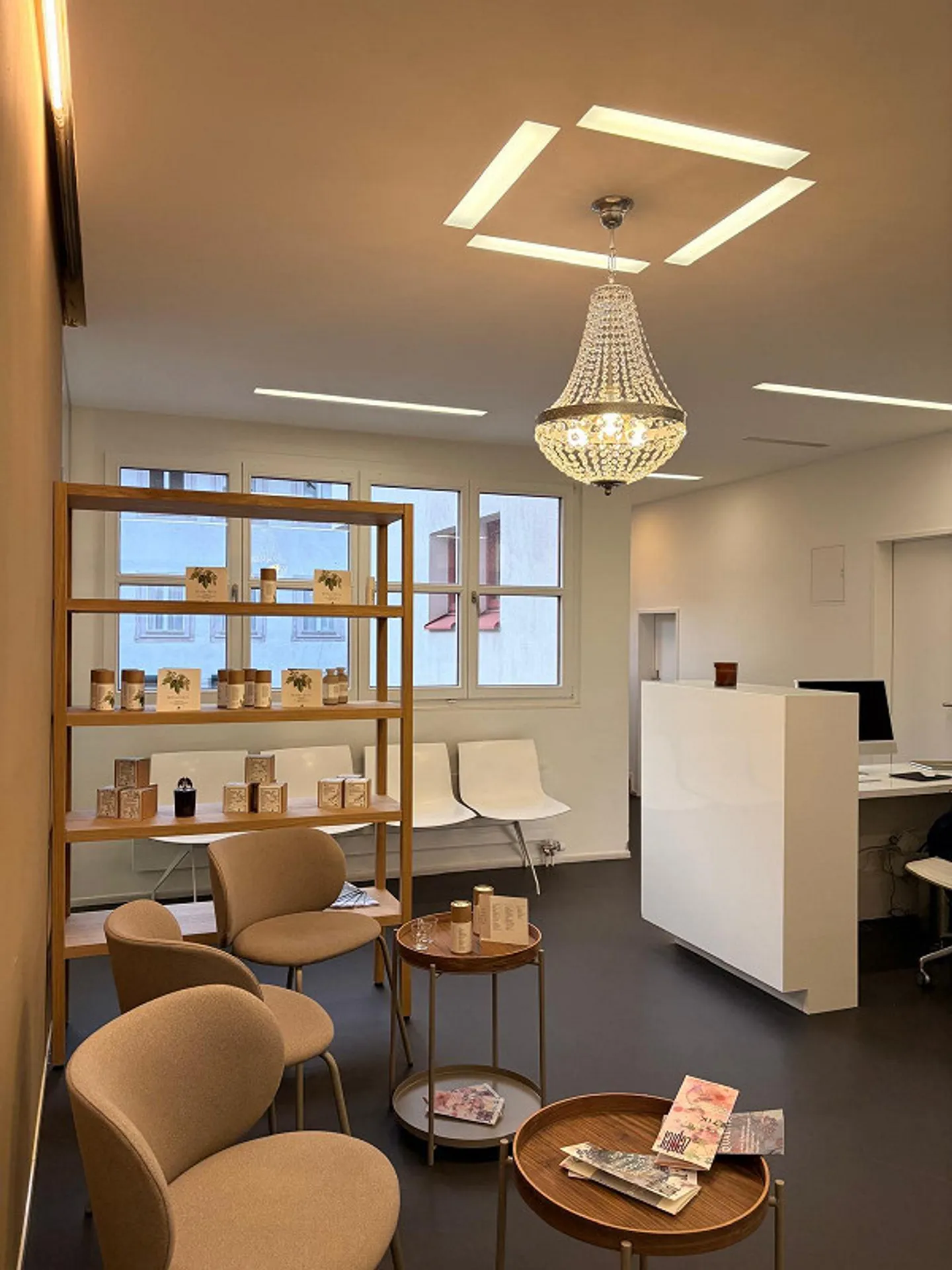 Espace commercial au cœur de Horgen - Photo 5 sur 13