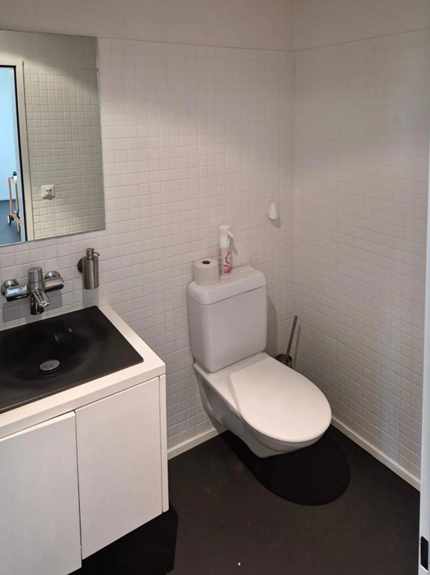 Espace commercial au cœur de Horgen - Photo 10 sur 13