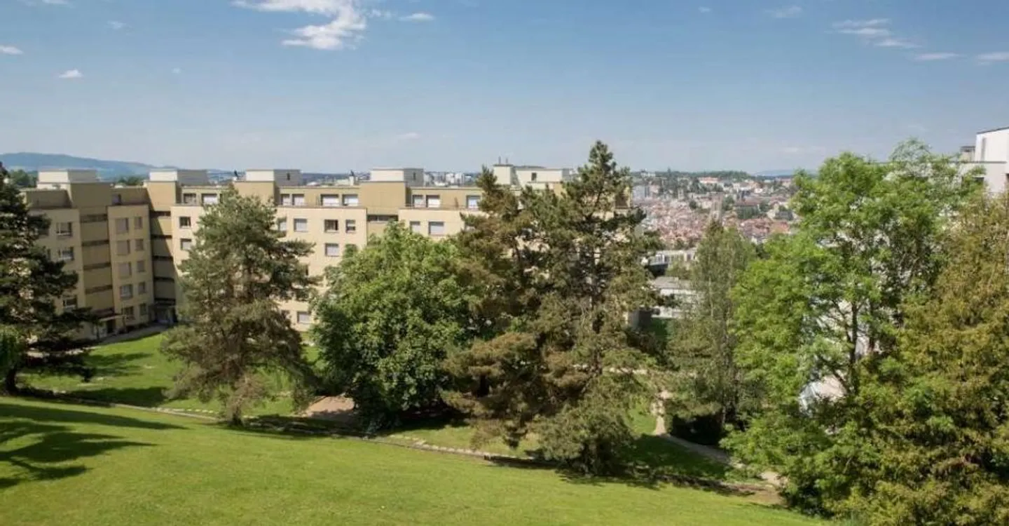 Auf den Höhen von Freiburg! - Foto 9 von 10