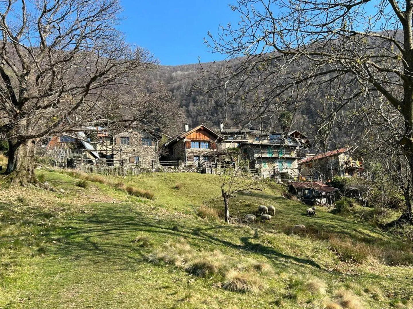 Rustico traditionnel à Cento Campi - Votre paradis naturel exclusif au bord du lac Majeur - Photo 24 sur 30