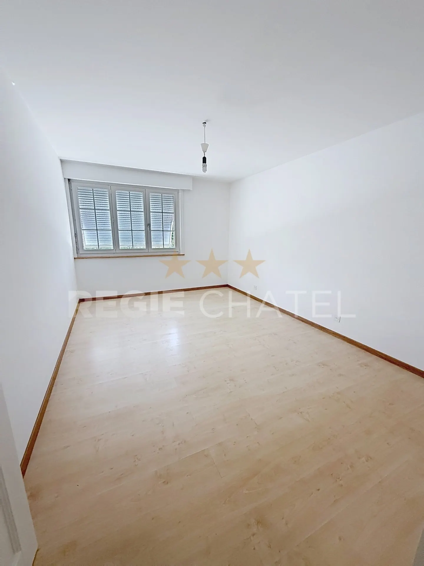 Charming Apartment with Terrace - Photo 7 of 8
