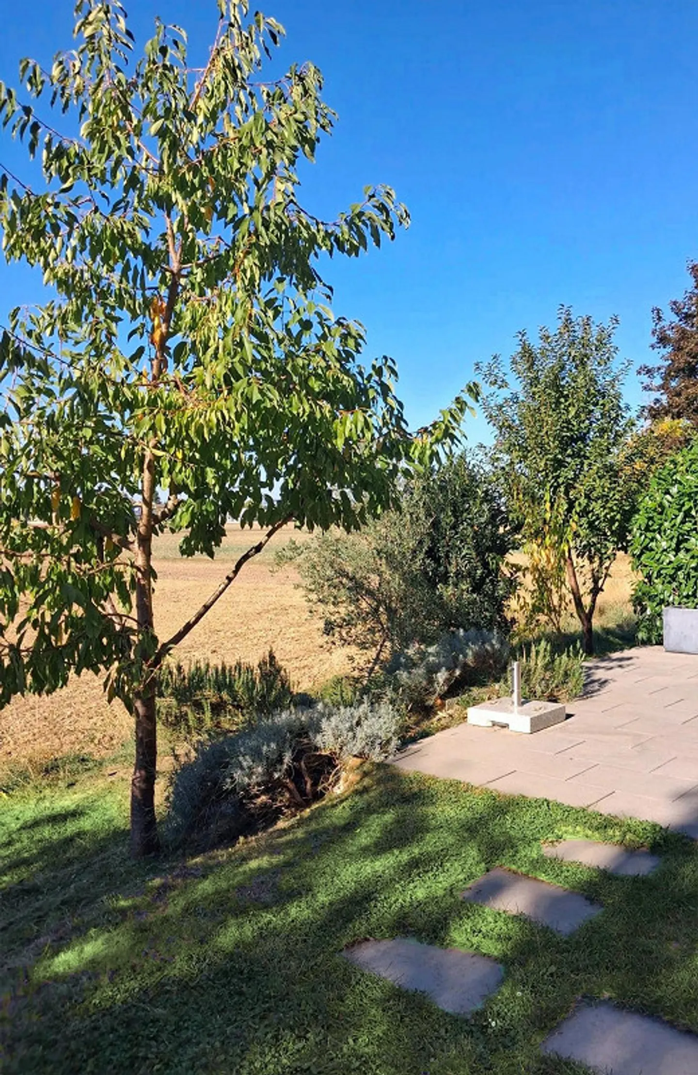 Luminoso appartamento di 4,5 stanze con vista unica ad Allschwil - Foto 18 di 22