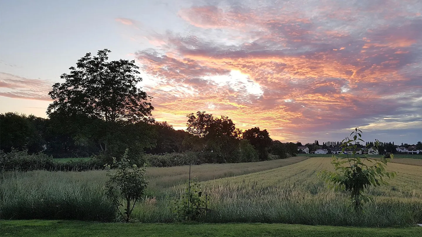 Luminoso appartamento di 4,5 stanze con vista unica ad Allschwil - Foto 21 di 22
