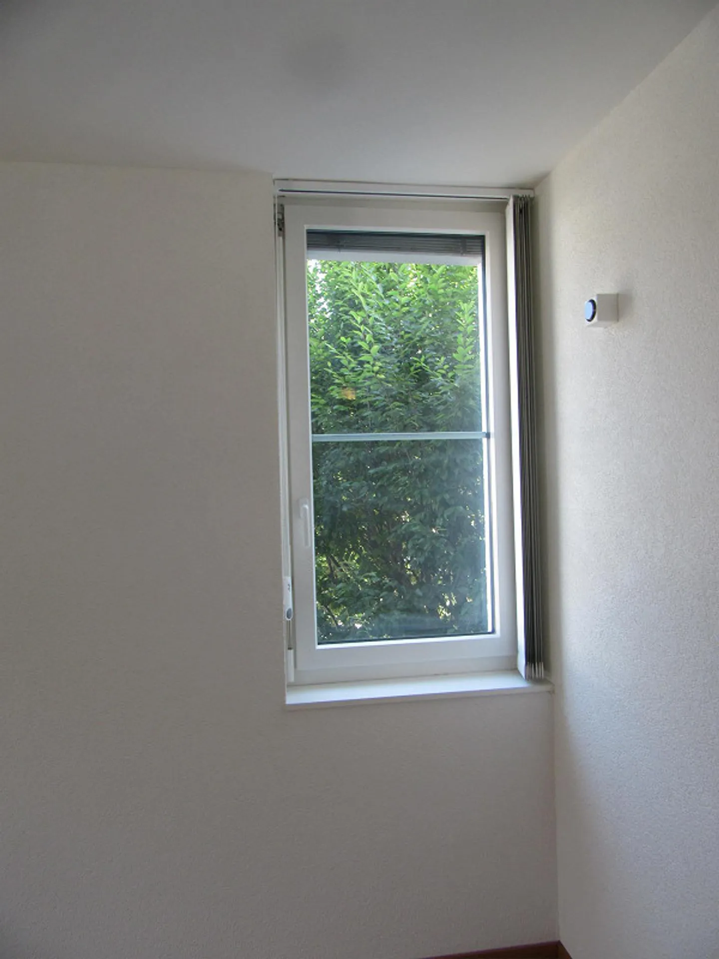 2 Office Rooms - Photo 4 of 9