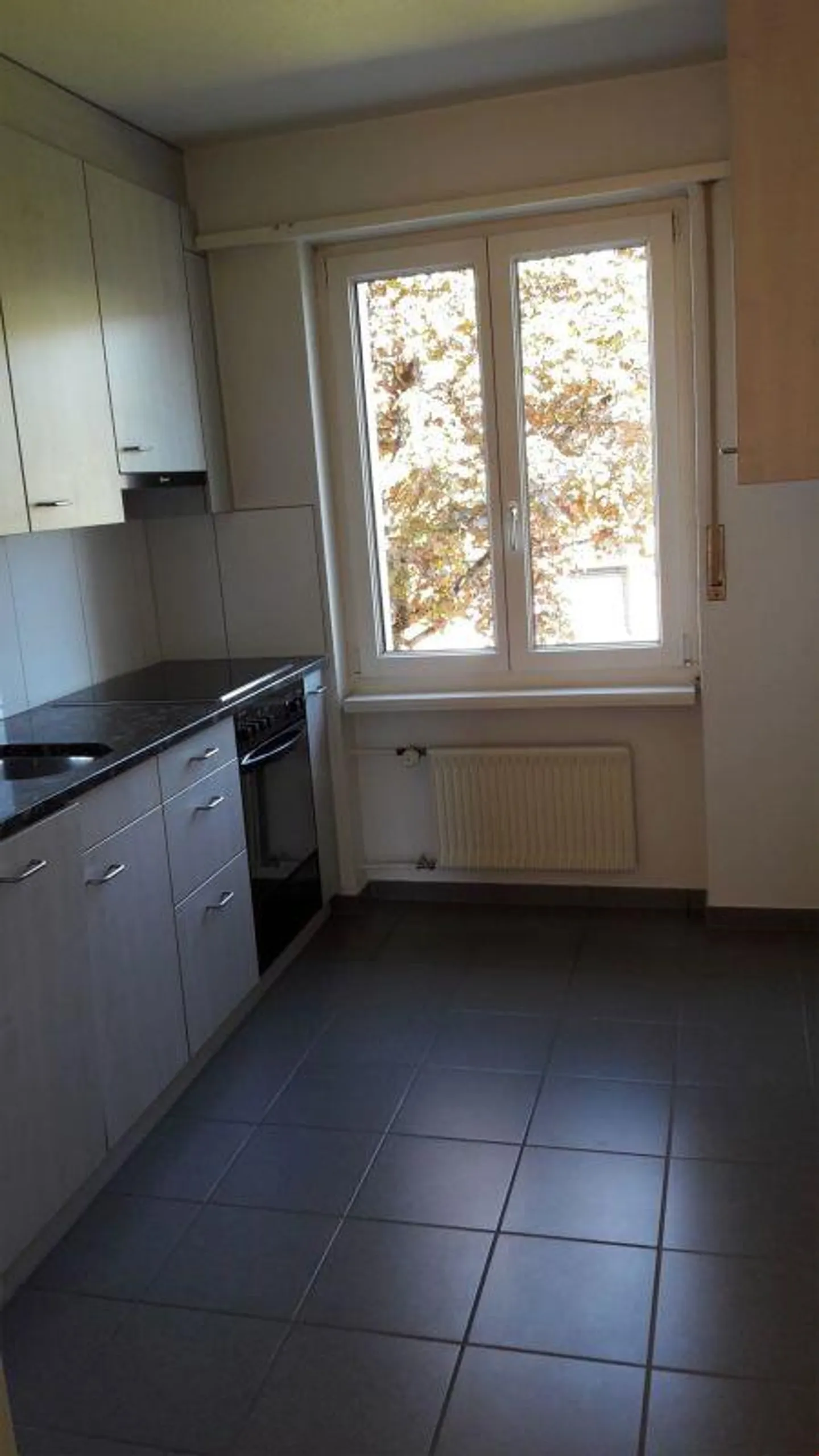 Bright apartment in a quiet location in Riedholz - Photo 6 of 6