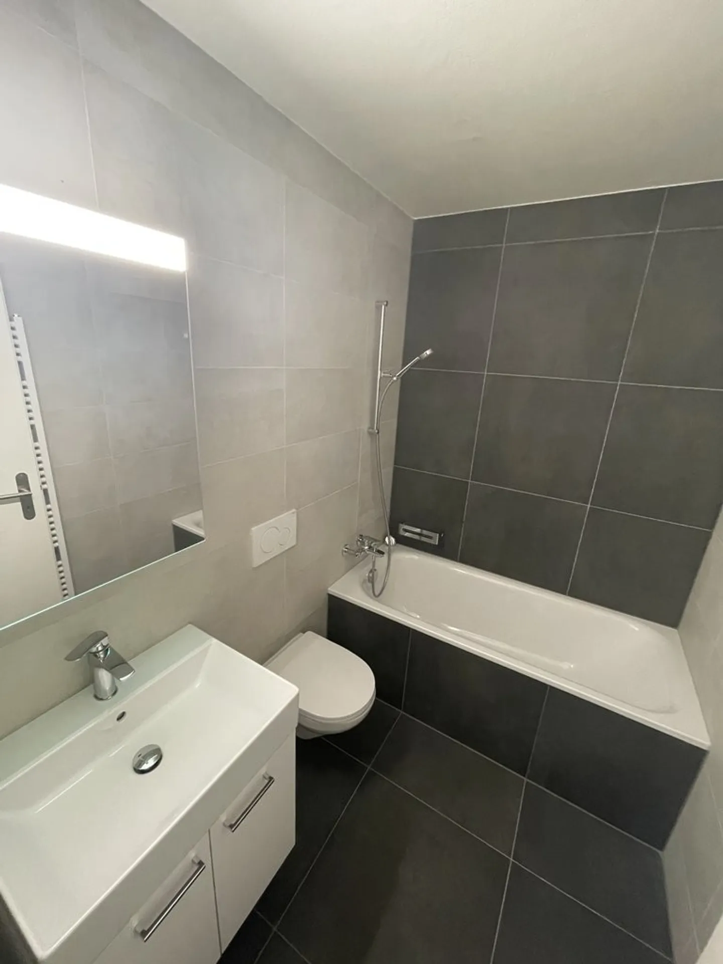 1ST NET RENT OFFERED - Nice 3-room apartment with lake view - Photo 3 of 9