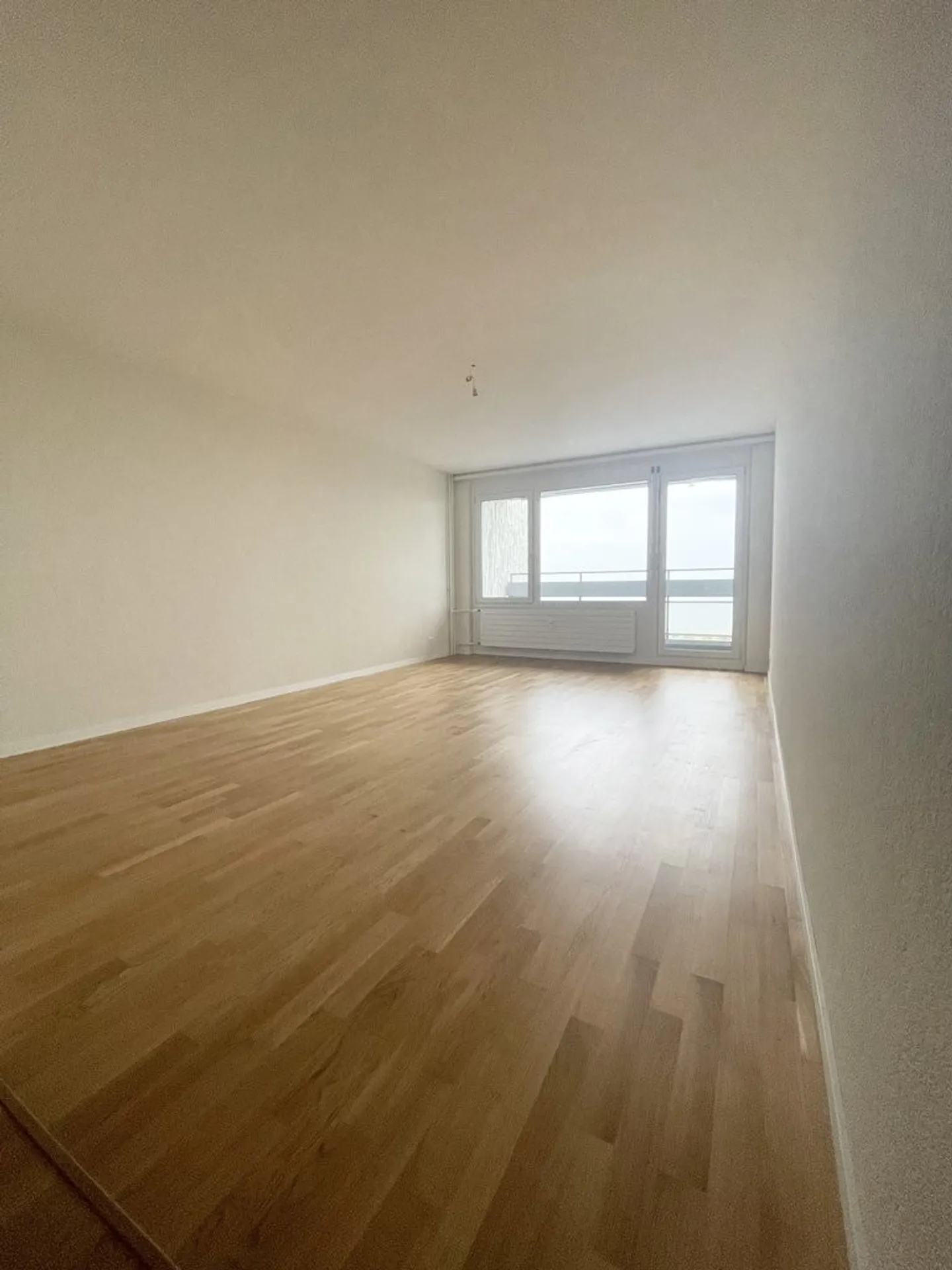 1ST NET RENT OFFERED - Nice 3-room apartment with lake view - Photo 4 of 9