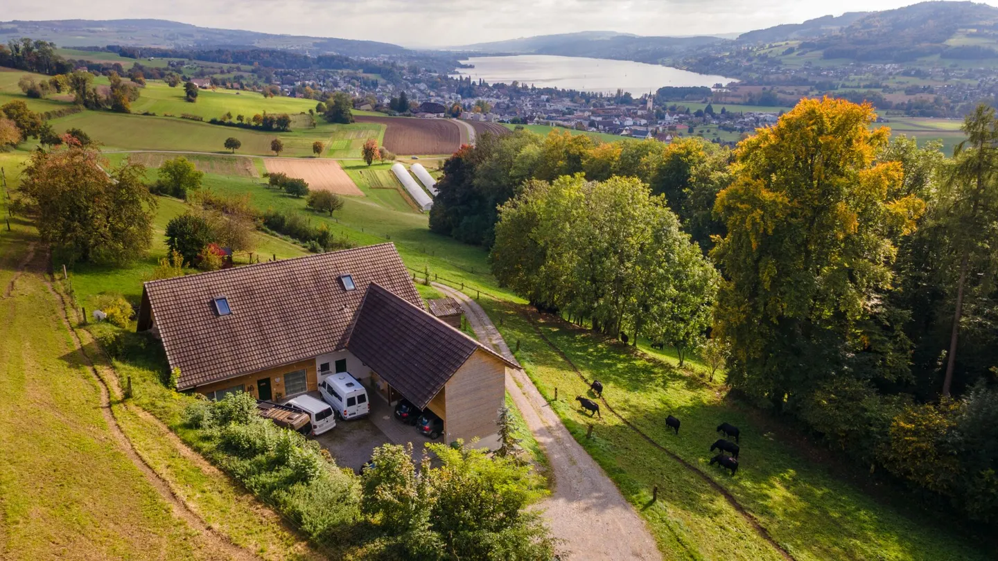 Real estate gem in Seengen with two 5.5-room house parts in the green with lake view - Photo 2 of 15